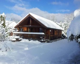 Les Silènes 1 - Chalet 3 in Doucier Lac De Chalain - Doucier - Bâtiment