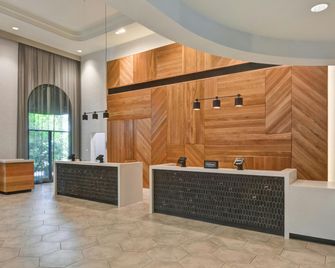 Embassy Suites by Hilton Minneapolis Airport - בלומינגטון - דלפק קבלה