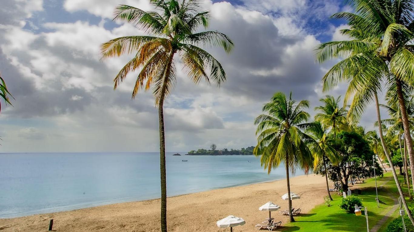 Starfish Tobago