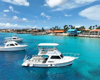 Divi Flamingo Beach Resort & Casino - Kralendijk