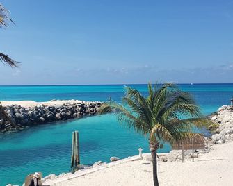 Oceanfront Condo - Port Royal - Plage