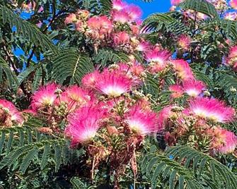 La Bastide des Cades - Aiguines