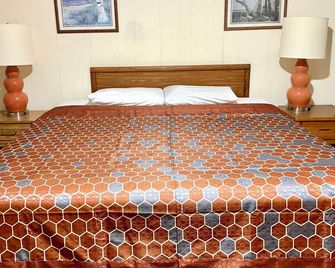 Coachman Motor Lodge - Elmira