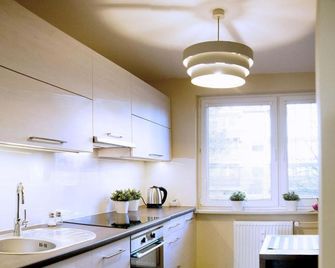 Apartament Fryderyk Premium 2 - ניסה - מטבח