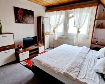 Cozy room in a quiet location - Friedberg
