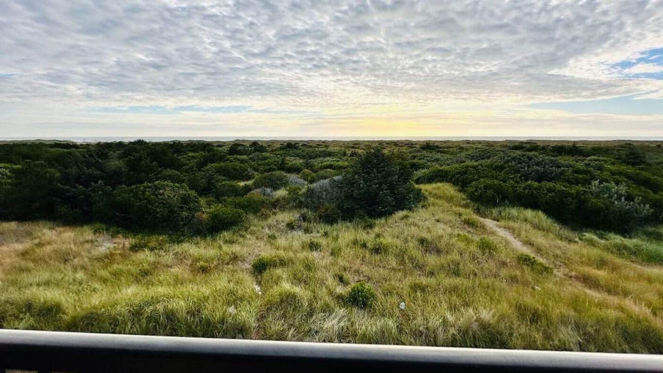 Ocean Paradise Hotel & Resort