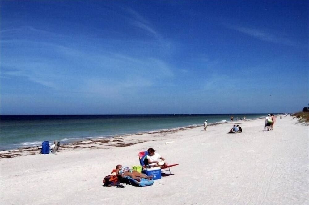 Beauty & the Beach: Less Than 100 Yards from Beach! Private Designer Home! - Indian Rocks Beach - Plaża