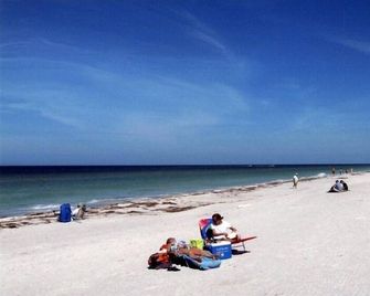 Beauty & the Beach: Less Than 100 Yards from Beach! Private Designer Home! - Indian Rocks Beach - Plaża