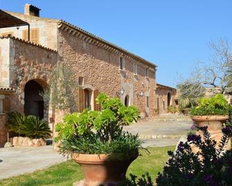 Agroturisme Son Llado - Campos