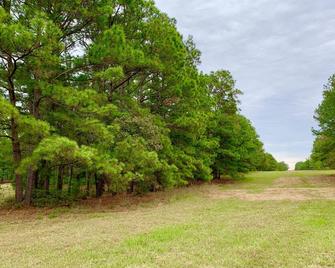 Adorable Guest Cabin In The Woods - La Grange