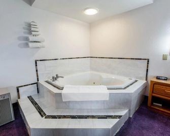 OYO Hotel Chesaning Route 52 & Hwy 57 - Chesaning