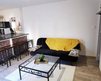 Appartement Cosy Au Coeur De La Champagn - Épernay - Living room