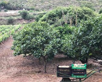Finca El Vergel Rural - Tegueste - Outdoors view