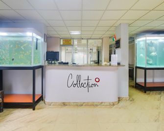 Maizons Lakeview Resort - Arpora - Front desk