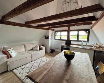 Marine & Comble - Sélestat - Sala de estar