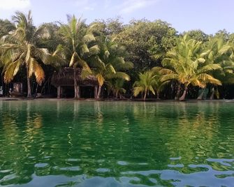 Surf Break At Paunch: Enjoy The Surf And Tree House Views In Our Tree Cabin - Carenero - Basen