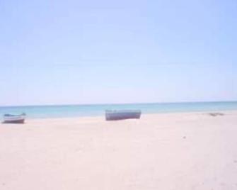 Mahdia Rejiche: Tunisia rental all year round - Mahdia - Strand