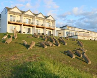 Mon Joli Motel - Saint-Flavie - Edificio