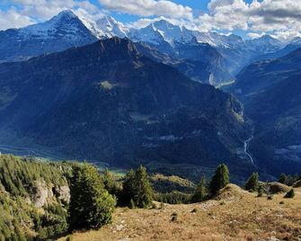 Hotel Berghof Amaranth - Wilderswil