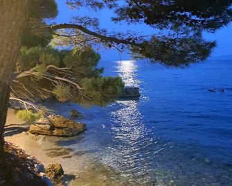 Violeta Hvar - Hvar