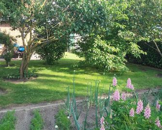 Studio with barbecue facilities in the garden - Usedom - Pemandangan luar