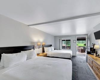 Pine Top Balcony View - Hill City - Chambre