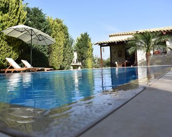 holiday villa with private pool and garden - Ano Viannos - Piscina