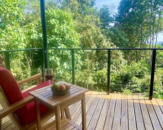 Sinfonía Tropical, ocean view, 5 minutes drive to Playa Linda, 15 to Dominical, wifi Starlink - Matapalo - Balcón