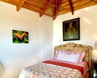 Atenas Magic Mountain - Breathtaking Views Lote 51 very quite and private - Atenas - Habitación