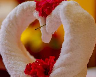 Yacumama Santa Teresa - Santa Teresa