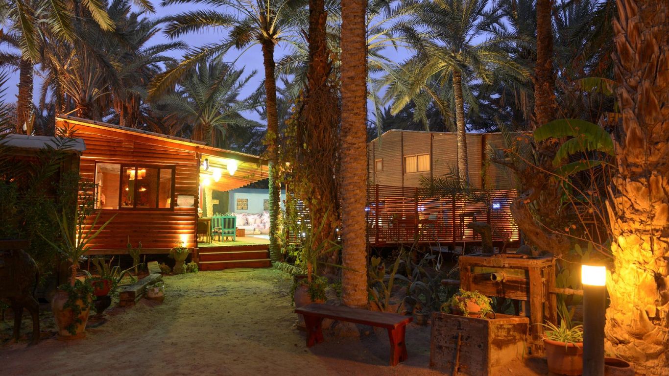 ديار ابو حبيبي