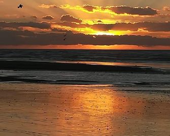 Luxury apartment 100 m from the beach - Cayeux-sur-Mer - Playa