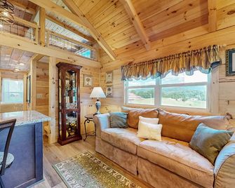 Deimos Cabin - Mars Hill - Living room