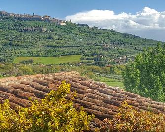 Romantic cottage on a farm with a view of Cortona - Cortona - Outdoors view