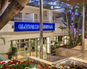 Globales Mimosa - Palma Nova