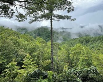 Appalachian Satisfaction - Banner Elk