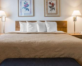 Quality Inn Hudsonville - Hudsonville - Bedroom