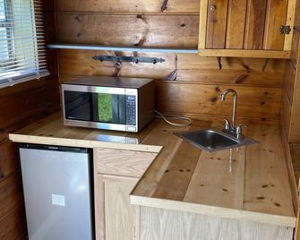 Cozy Lakeside Cabin with Beach - Indian River - Kitchen