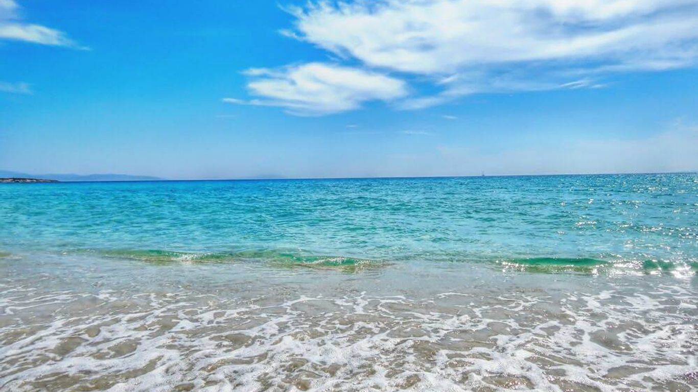 Dolphin Kastraki Studios