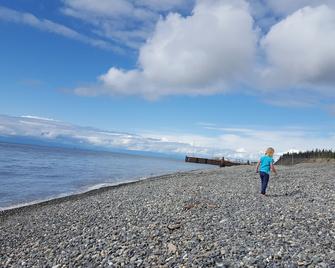 Enjoy the Lake and Loons - Nikiski - Playa