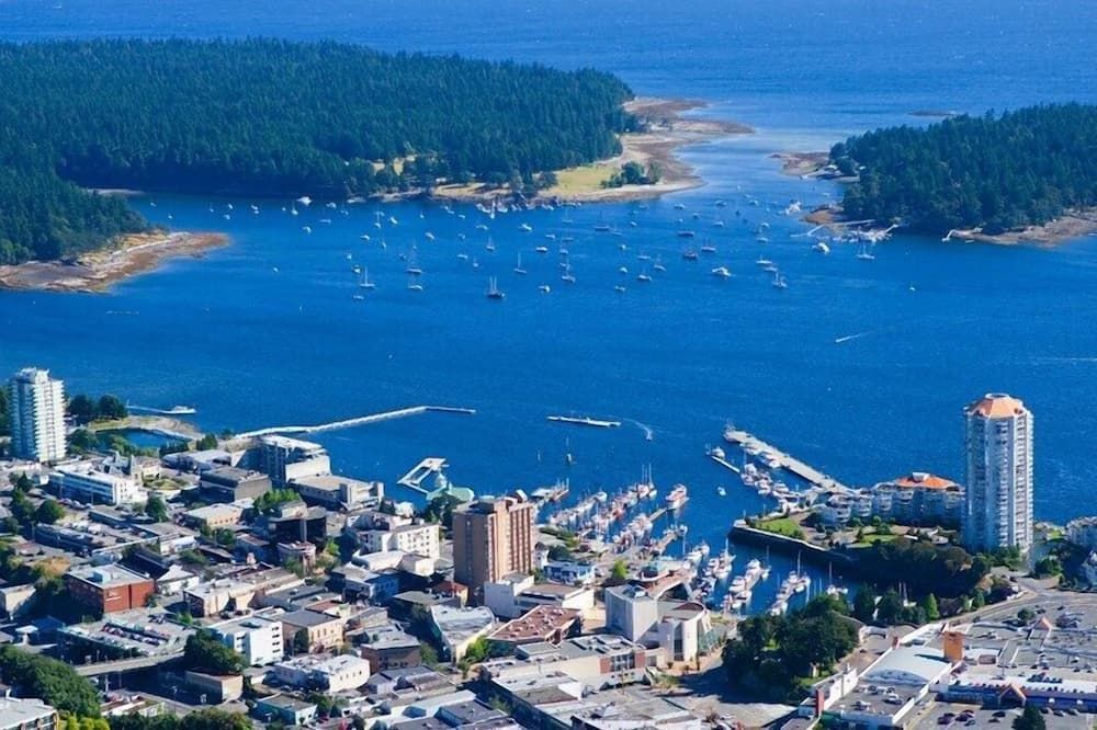 Painted Turtle Guesthouse - Nanaimo - Outdoor view