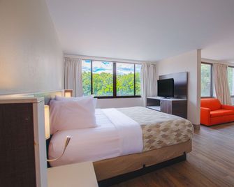 Americas Best Value Inn Winston-Salem - Winston-Salem - Ložnice
