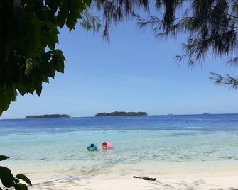 Leleana Resort Kolombangara - Gizo Island - Beach