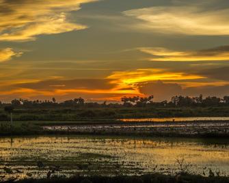 Experiences Cambodian Home And Live Like Your Home - Siem Reap - Outdoor view