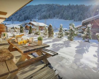 Chalet Edenalpa - Ovo Network - La Clusaz - Patio