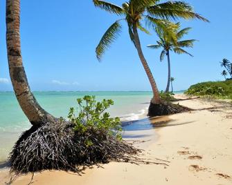 Seahorse Bungalow - Truly beachfront, unobstructed ocean view, private, clean - Savusavu - Beach