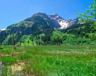 Hotel Alpenland - Gstaad - Außenansicht