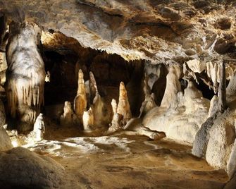 Dixon Resort - Banská Bystrica