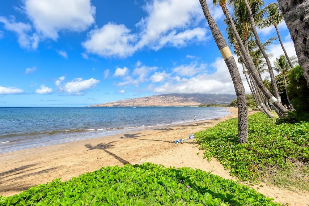 Sugar Beach Resort - קיהי - חוף