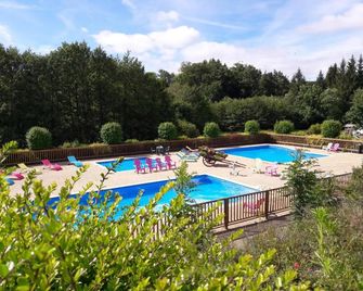 Residence Fleurs D'Aubrac - Laguiole - Piscine